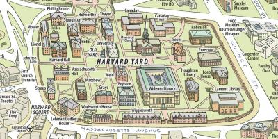 Map of Harvard university